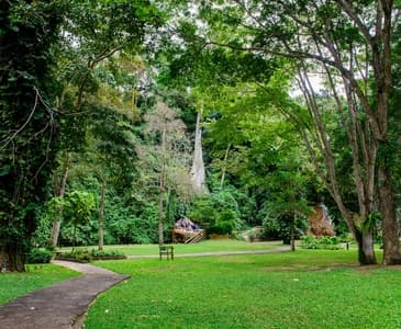 Best Walking Trails in Croydon