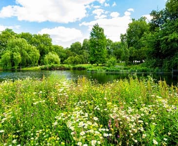 6 Best Scenic Parks and Nature Attractions in Croydon